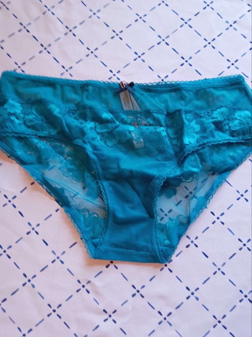 Victoria's Secret Teal Floral Lace Bikini Panty
